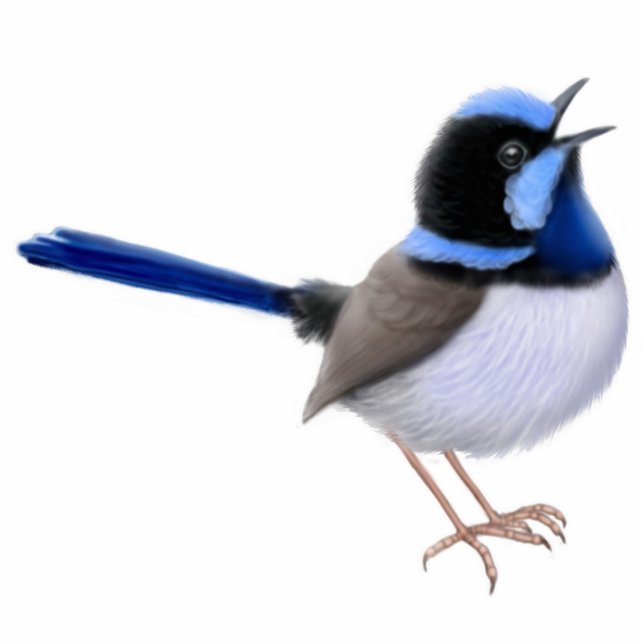 Superb Fairy Wren Ornament (Front)