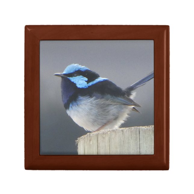Superb Fairywren Wooden Jewelry Keepsake Box (Front)