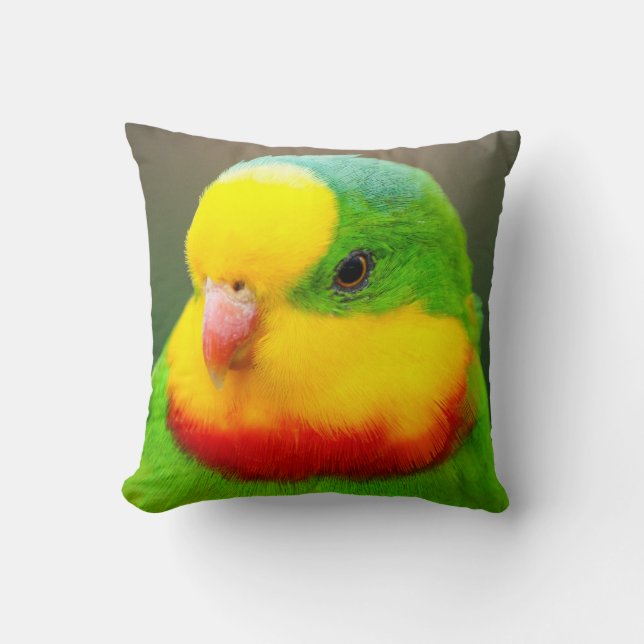 Superb Parrot Throw Pillow (Front)