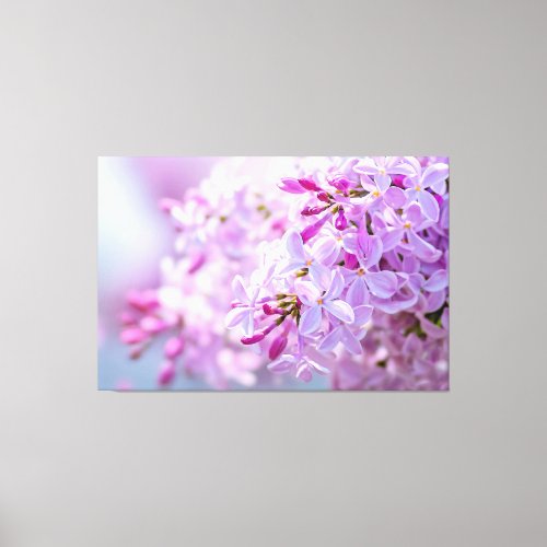 Superb Pink Lilac Flowers Canvas Print