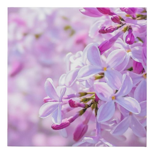 Superb Pink Lilac Flowers Faux Canvas Print