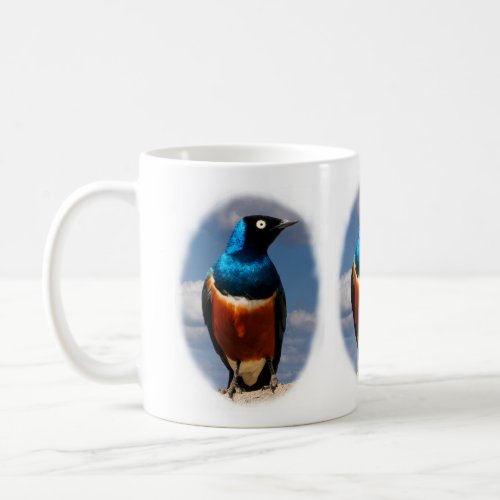 Superb starling seen from front  coffee mug