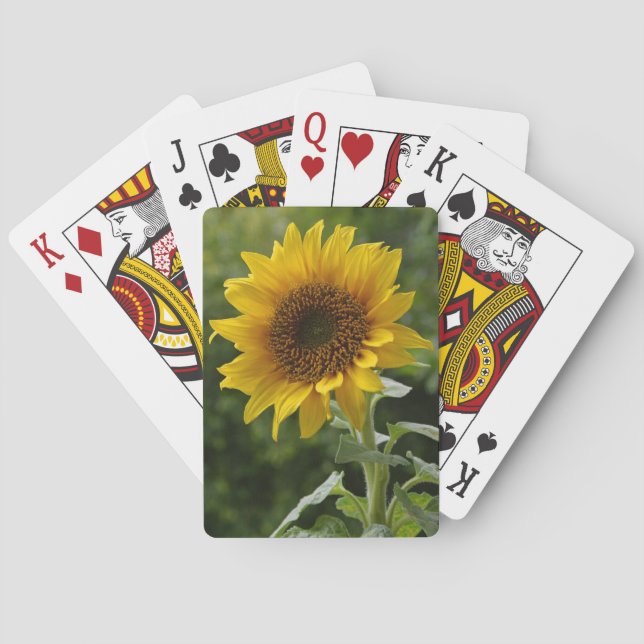 Superb Sunflower Playing Cards (Back)
