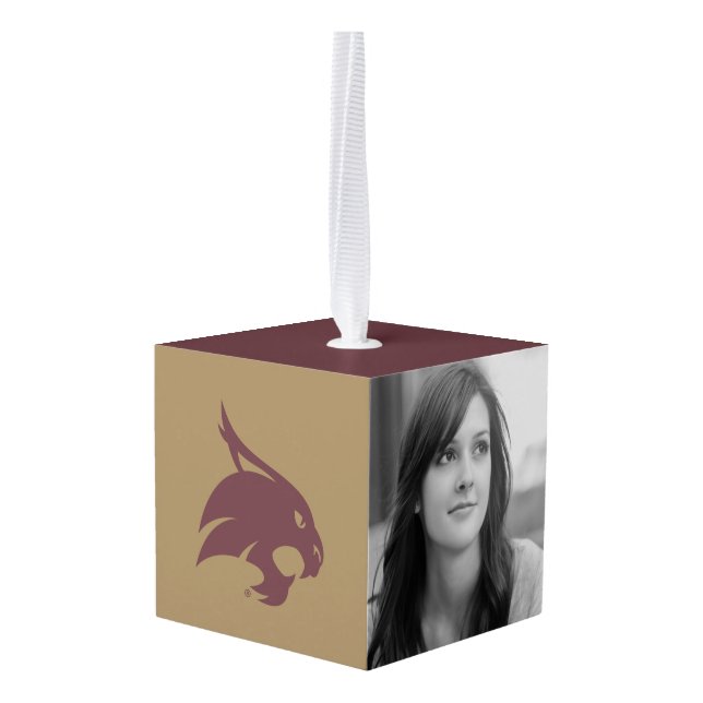 Supercat Mark Cube Ornament (Back Angled)