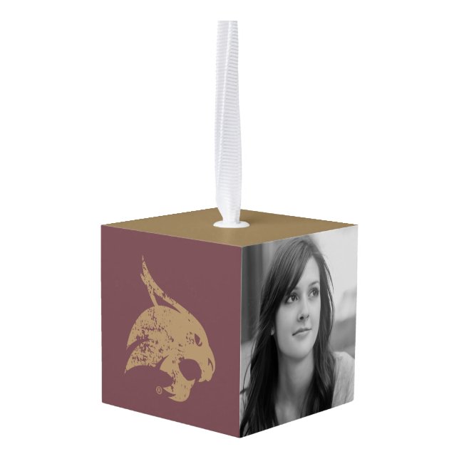 Supercat Mark Distressed Cube Ornament (Back Angled)