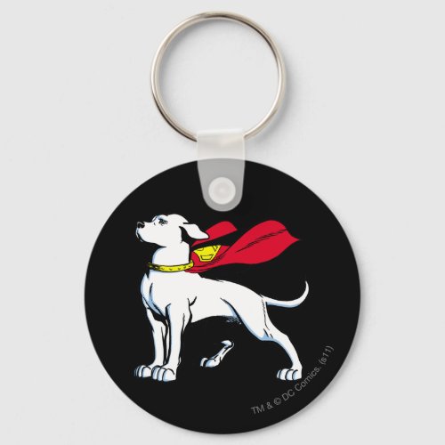Superdog Krypto Keychain