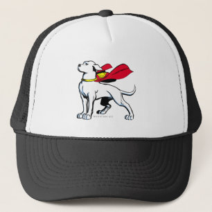 Superdog Krypto Trucker Hat