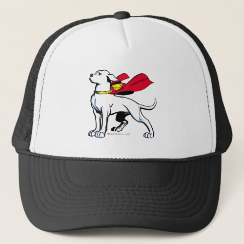 Superdog Krypto Trucker Hat