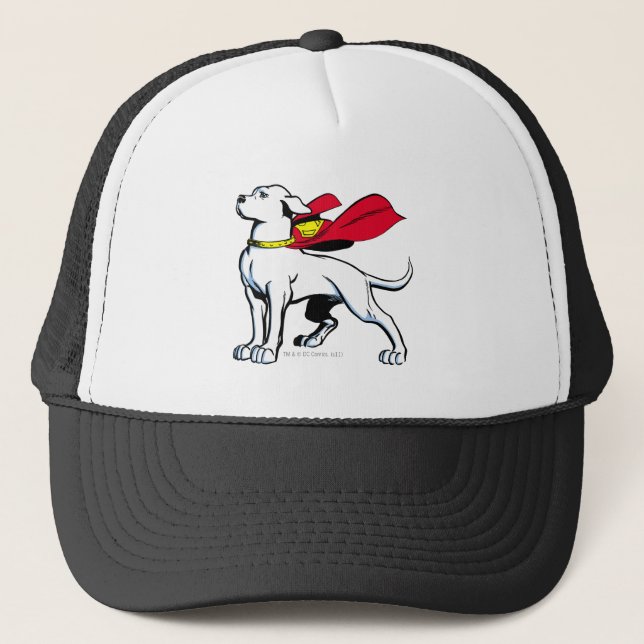 Superdog Krypto Trucker Hat (Front)