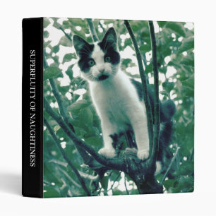 Superfluity of Naughtiness (1in) 3 Ring Binder