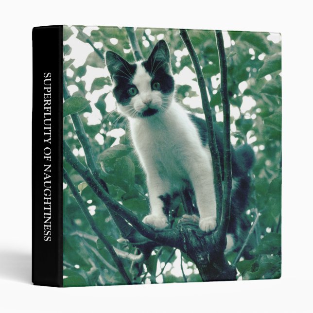 Superfluity of Naughtiness (1in) 3 Ring Binder (Front/Spine)