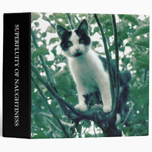 Superfluity of Naughtiness (2in) Binder