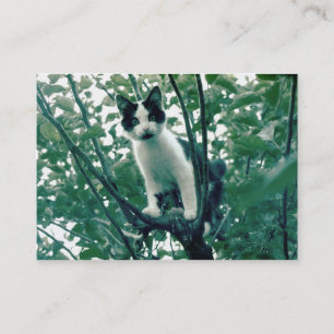 Superfluity of Naughtiness Business Card