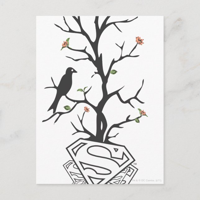 Supergirl Birds in the Tree Postcard (Front)