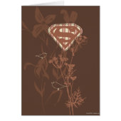 Supergirl Brown Bird (Front)