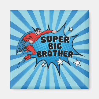 Superhero Becoming a Big Brother Magnet