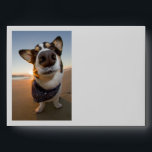 SuperHero Envelope<br><div class="desc">Captain Yogi is a real superhero! His most powerful superpower is making people laugh :-) Other superpowers include: Lowering one's blood pressure. Increasing one's immunity system. Reducing stress. Making new friends. Desire to walk and exercise. Enhanced emotional well-being. Sounding the alarm for danger. Warping space and planetary horizons. Additional superpowers...</div>