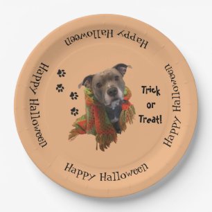 Superhero Halloween Pitbull Paper Plates