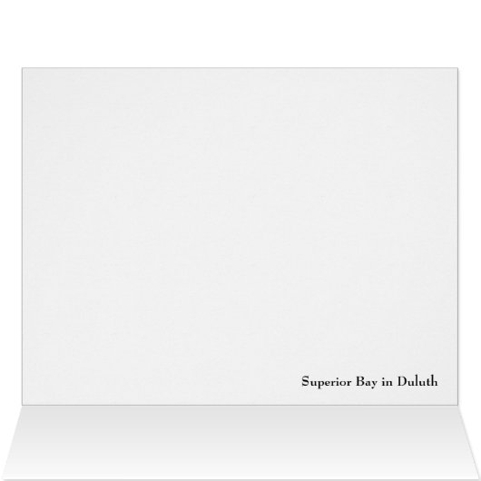 Superior Bay in Duluth (Inside Horizontal (Top))