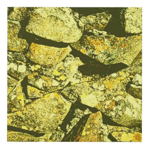 Superior Lichen Stone Wall Photo  Faux Canvas Print
