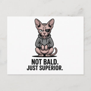 Superior Sphynx Cat Attitude Illustration Holiday Postcard
