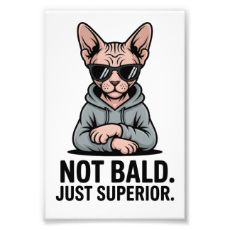 Superior Sphynx Cat Sarcastic Attitude Art Photo Print
