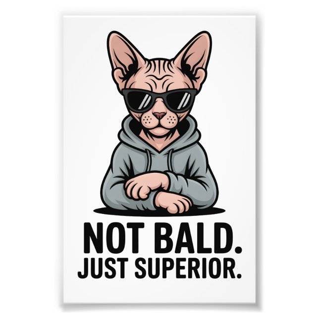 Superior Sphynx Cat Sarcastic Attitude Art Photo Print (Front)