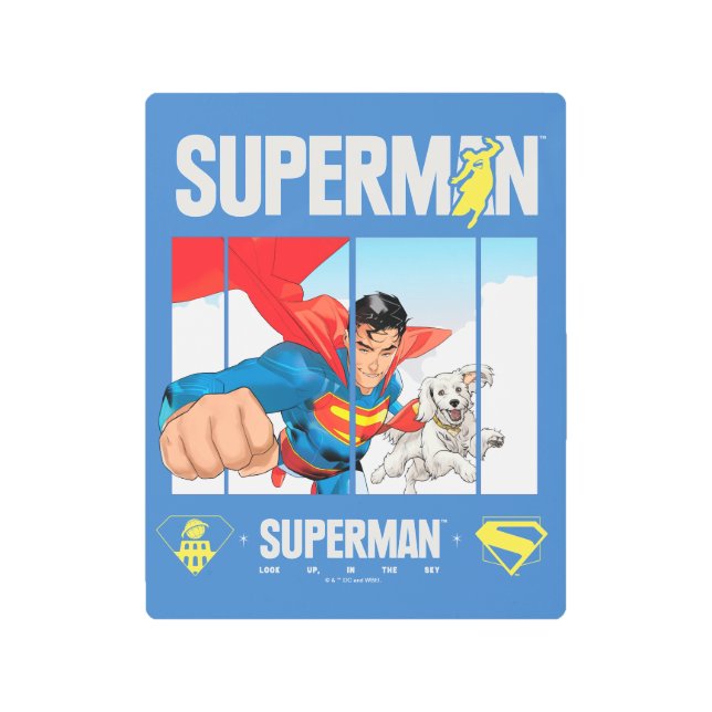 Superman and Krypto Take Flight Metal Print (Front)