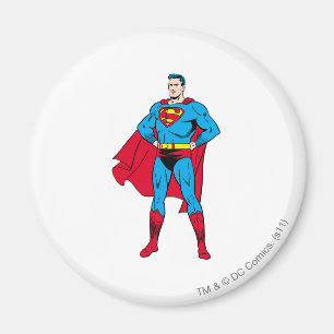 Superman Arms Folded Magnet