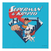 Superman & Krypto Soar