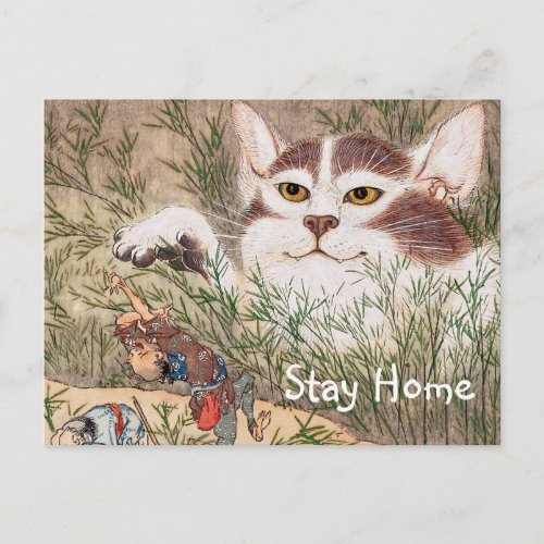 Supernatural Cat Postcard