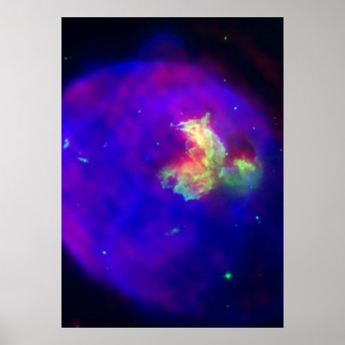 Supernova Remnant Menagerie Poster