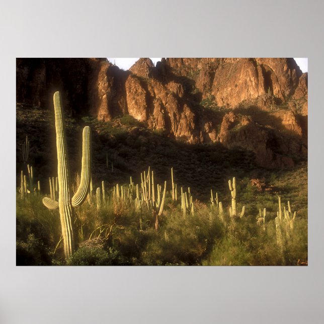 Superstition Mountain Poster (Front)