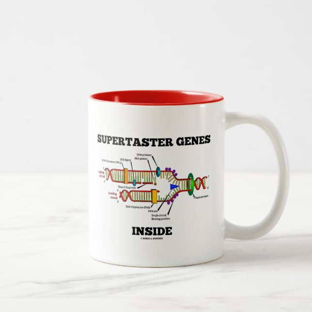 Supertaster Genes Inside (DNA Replication) Two-Tone Coffee Mug (Right)
