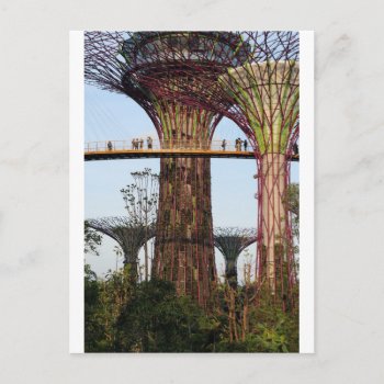 Supertree Grove Gardens By The Bay Singapore Postcard by PKphotos at Zazzle