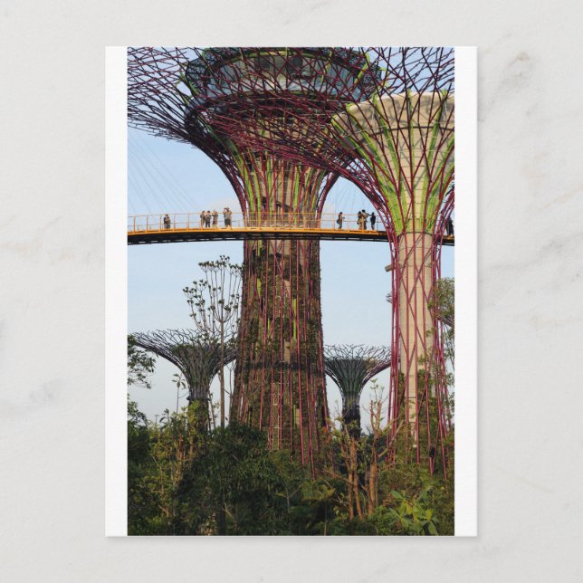 Supertree Grove Gardens By The Bay Singapore Postcard (Front)