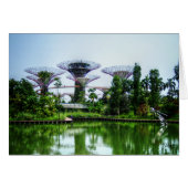 Supertrees and dragonfly lake (Front Horizontal)