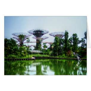 Supertrees and dragonfly lake