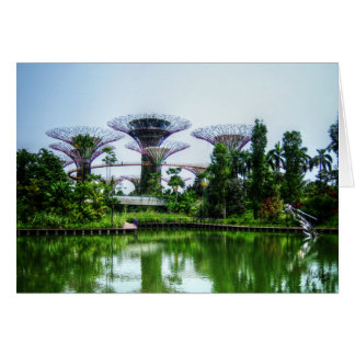 Supertrees and dragonfly lake cards