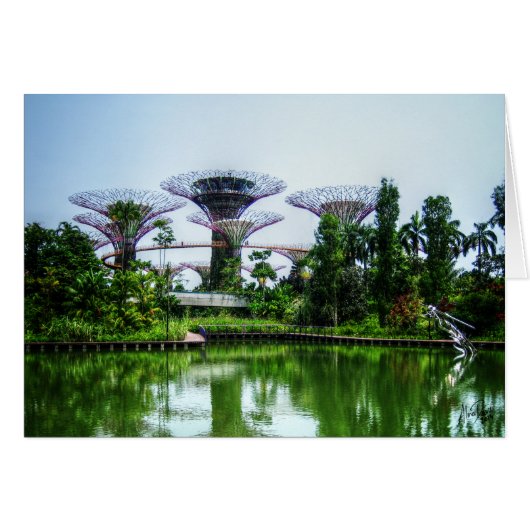 Supertrees and dragonfly lake cards (Front Horizontal)