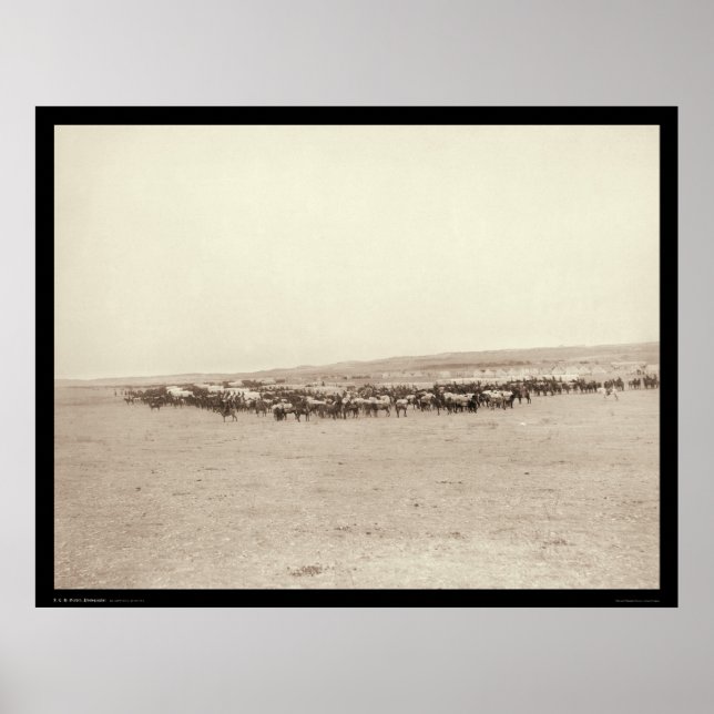 Supply Wagons & Pack Mules SD 1887 Poster (Front)