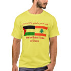 Support and defend Palestine and Lebanon