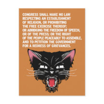 Support and Defend the Constitution