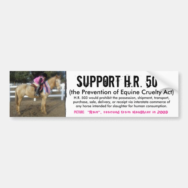 Support H.R. 503 - Prevention of Cruelty to Horses Bumper Sticker (Front)