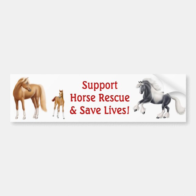 Support Horse Rescue Bumper Sticker (Front)