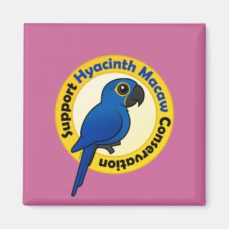 Support Hyacinth Macaw Conservation Square Magnet