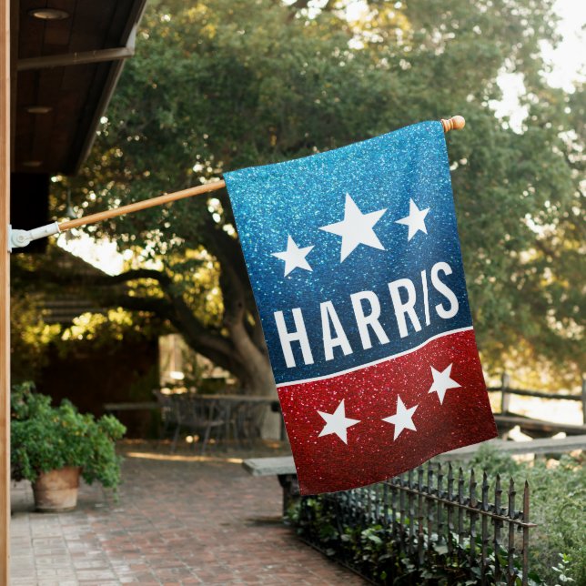 Support Kamala Harris 2024 Progress and Unity House Flag (In SItu)