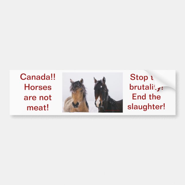 Support our horses with a bumper sticker (Front)