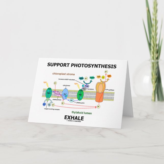 Support Photosynthesis Exhale (Biochemistry Humor) Card (Front)