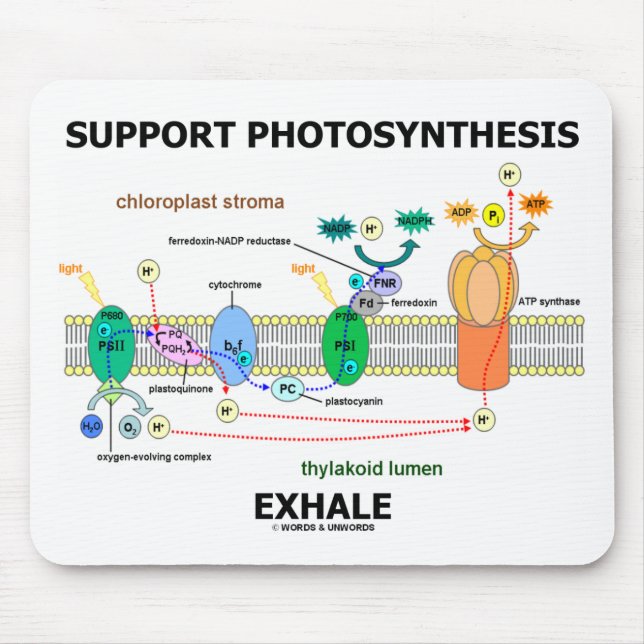 Support Photosynthesis Exhale (Biochemistry Humor) Mouse Pad (Front)